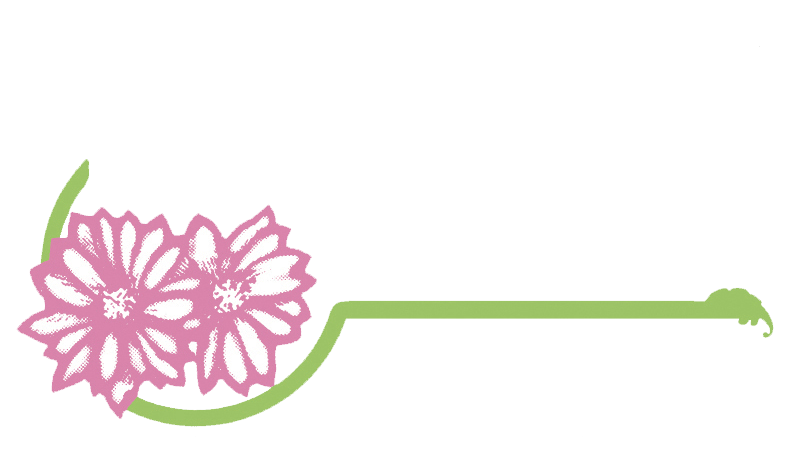 Bitterroot Logo