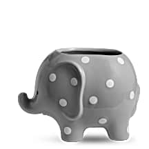 Teleflora's Hello Sweet Baby - Pink Vase