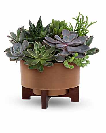 Teleflora's Harvest Succulent Garden Bouquet
