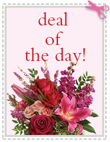 Send The Best Deal of the Day - Biggest Freshest Arrangement