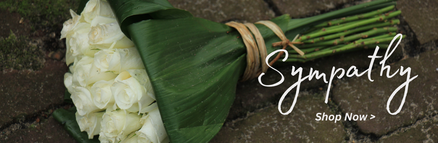 Flower Delivery to El Paso by Angie's Flowers