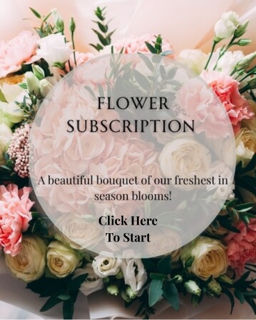 Flower Subscription Flower Arrangement