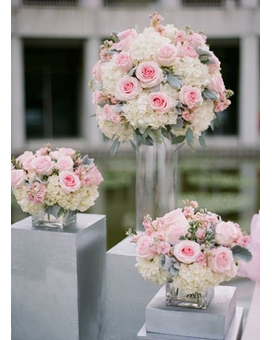 Standard size,  inches height and  inches wide.