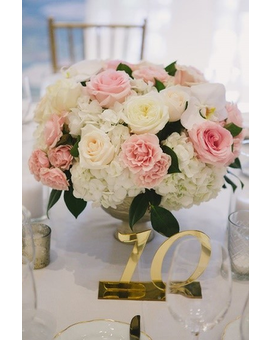 Standard size,  inches height and  inches wide.