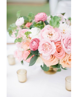 Standard size,  inches height and  inches wide.