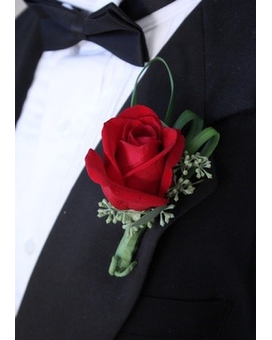 Standard size,  inches height and  inches wide.