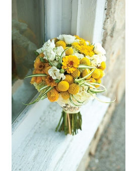 Standard size,  inches height and  inches wide.