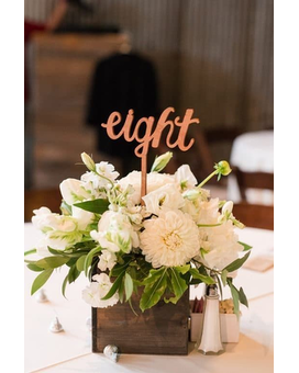 Standard size,  inches height and  inches wide.