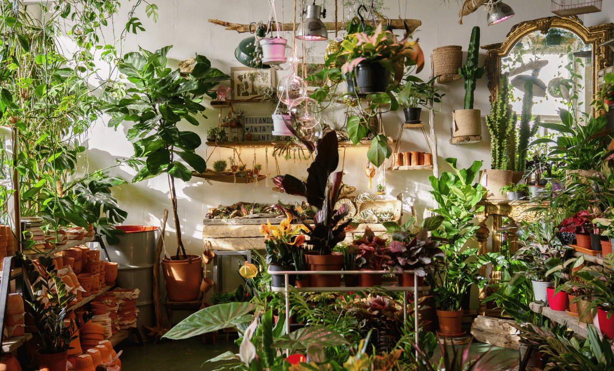 plant trends blog thumbnail