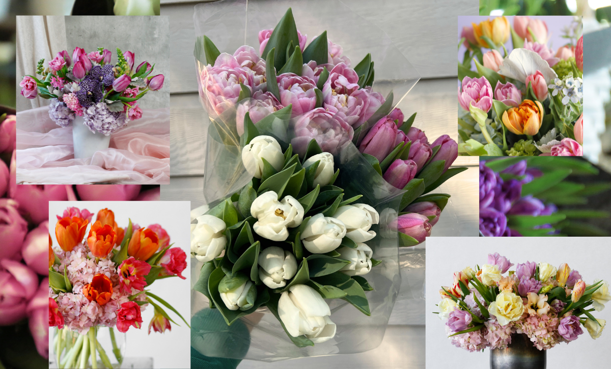 tulip blog thumbnail