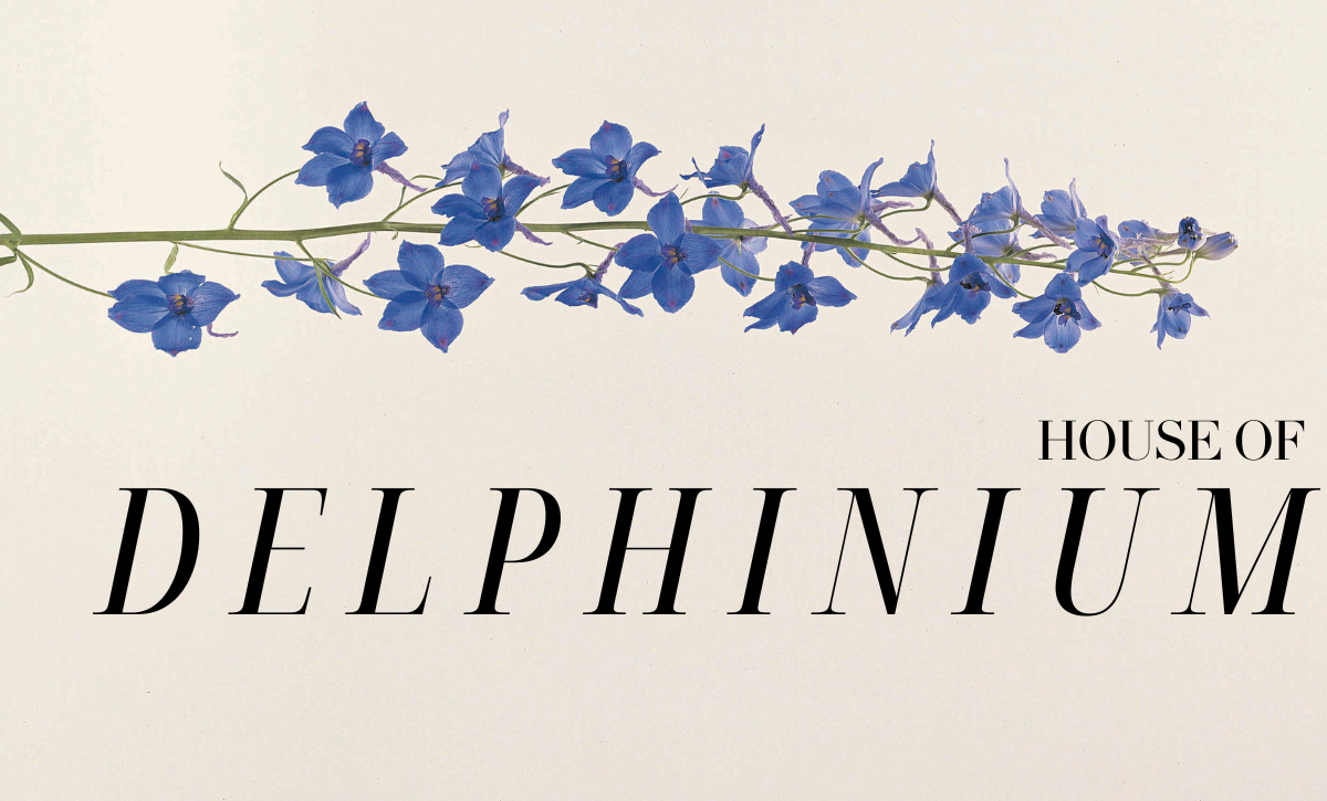 house of delphinium blog thumbnail