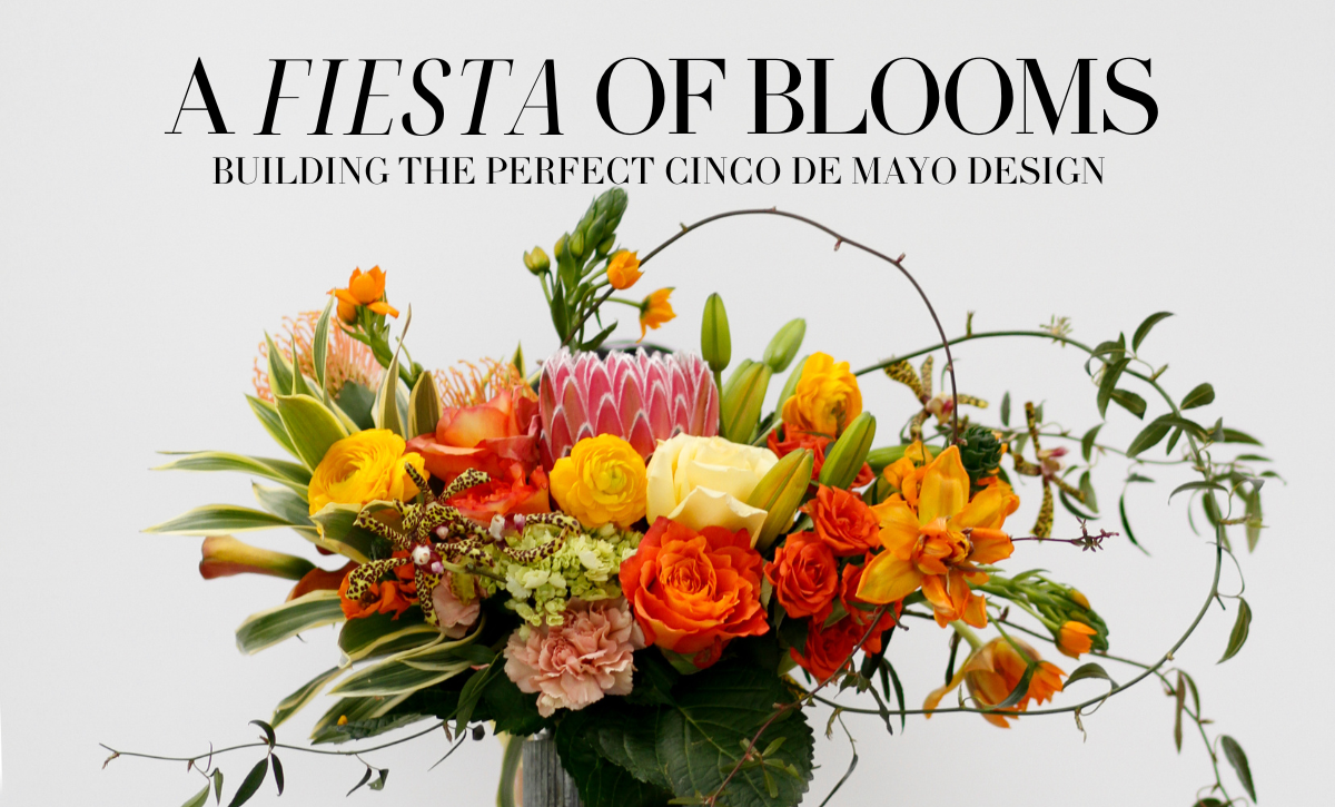 cinco de mayo blog thumbnail