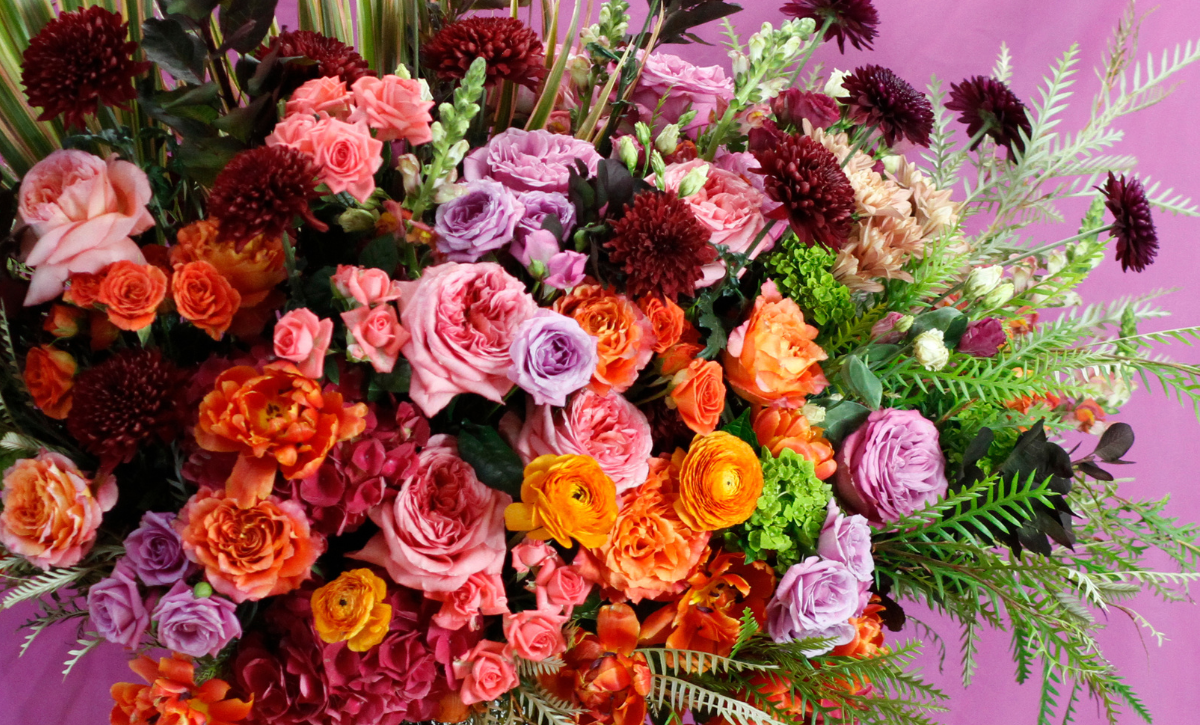 fall 2024 collection thumbnail