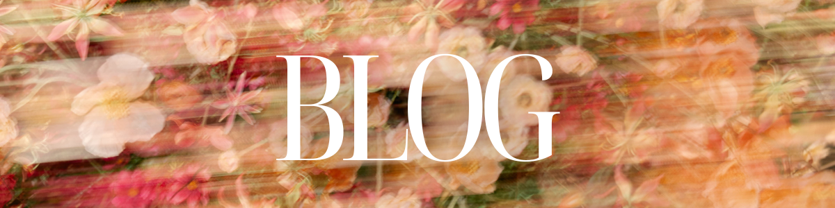 Blog // by Dr Delphinium