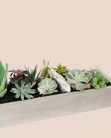 CACTUS CATHEDRAL // Heirloom Centerpiece Flower Arrangement