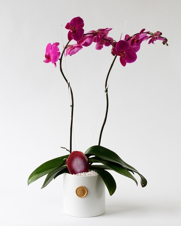 Amethyst size,  inches height and  inches wide.