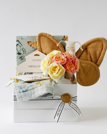 Butterfly Kisses | Baby Girl Gift Set Gift Basket