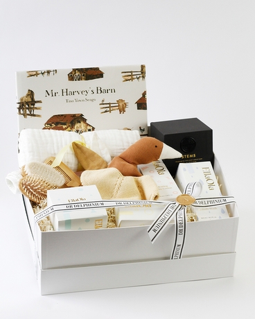 Snuggle Scout | Nationwide Baby Boy Gift Basket Gift Basket