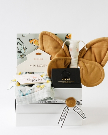 Butterfly Kisses | Nationwide Baby Girl Gift Set Gift Basket