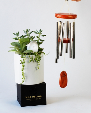 Succulent + Windchime + Candle size,  inches height and  inches wide.