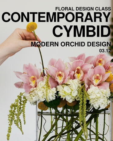 Contemporary Cymbid | 03.12 Flower Arrangement