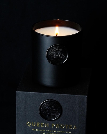 Queen Protea Candle | DRD Exclusive Flower Arrangement