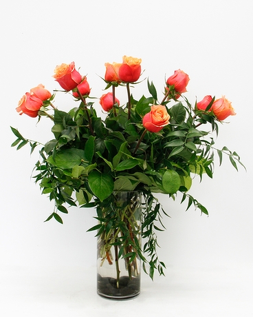 1 Dozen size, 24 inches height and 14 inches wide.