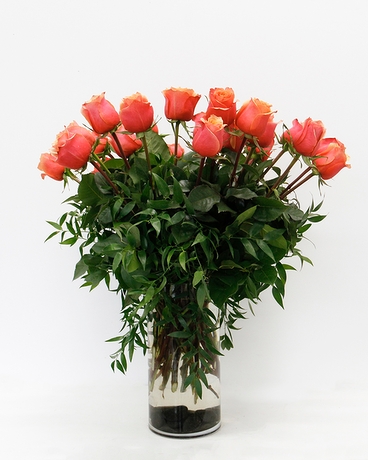 2 Dozen size, 24 inches height and 16 inches wide.