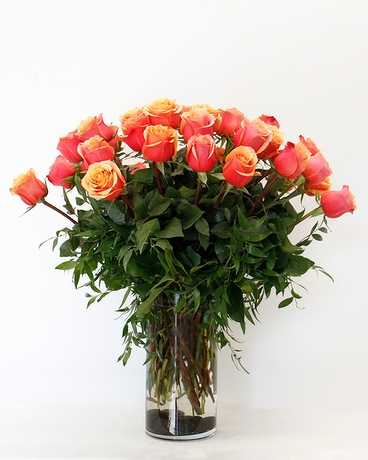 3 Dozen size, 24 inches height and 18 inches wide.