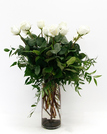 1 Dozen size, 24 inches height and 14 inches wide.