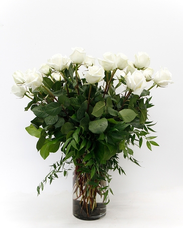2 Dozen size, 24 inches height and 16 inches wide.
