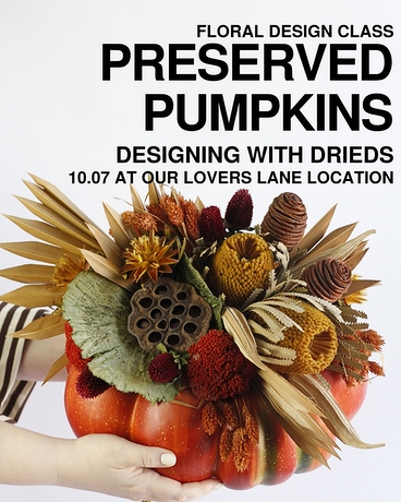 Preserved Pumpkins | 10.07 | Lovers Lane Flower Arrangement