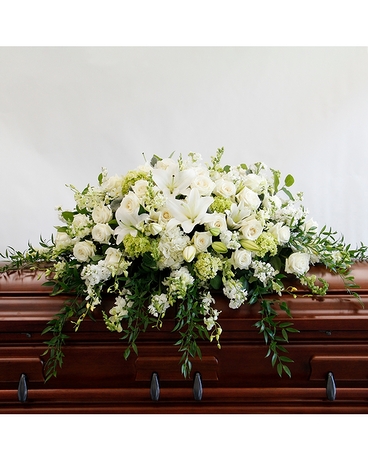 Half - Premium size, 16 inches height and 48 inches wide.