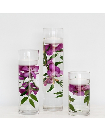 Standard size, 16 inches height and 12 inches wide.