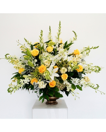 Deluxe size, 35 inches height and 36 inches wide.