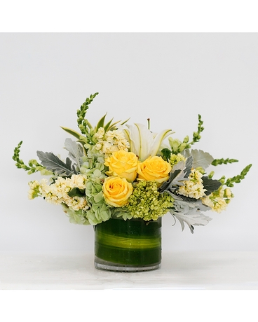 Deluxe size, 11 inches height and 11 inches wide.