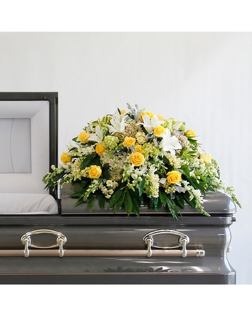 Half - Premium size, 16 inches height and 48 inches wide.