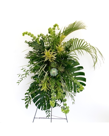 Standard size, 80 inches height and 25 inches wide.