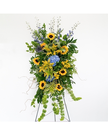 Standard size, 80 inches height and 25 inches wide.