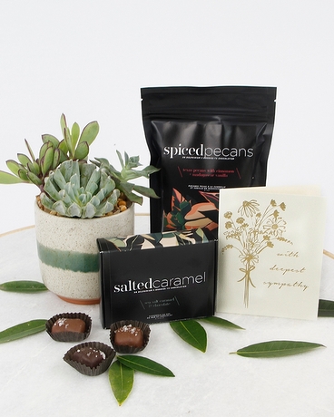 Succulent & Comfort Food size,  inches height and  inches wide.