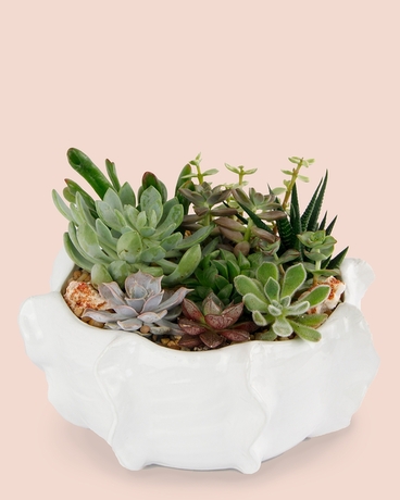 Montauk | Succulent + Crystal Planter Flower Arrangement