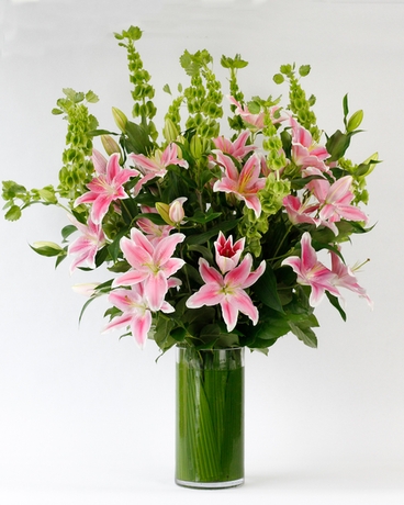 Deluxe- Pink size,  inches height and  inches wide.