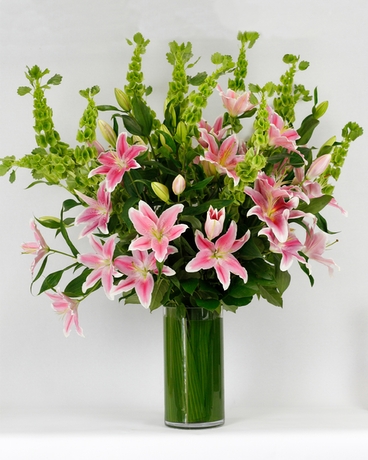 Premium- Pink size,  inches height and  inches wide.