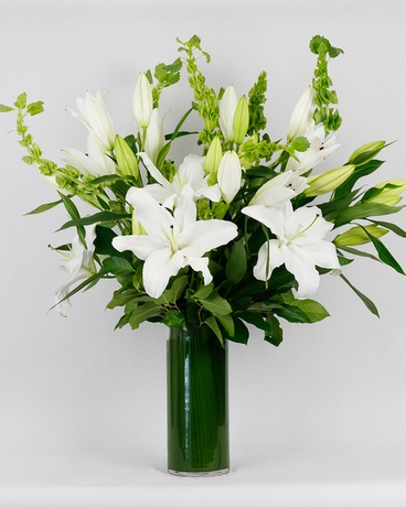 Standard- White size, 12 inches height and 10 inches wide.