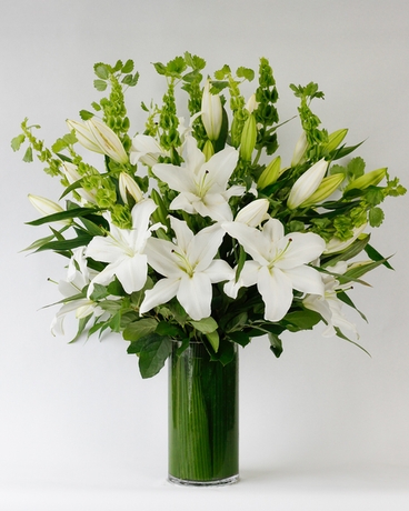 Deluxe- White size,  inches height and  inches wide.