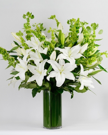 Premium- White size,  inches height and  inches wide.