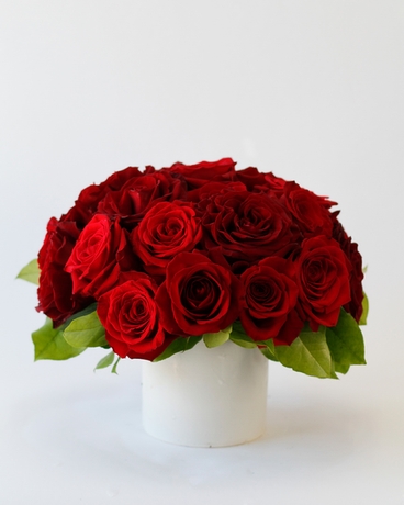 2 Dozen size, 8 inches height and 8 inches wide.