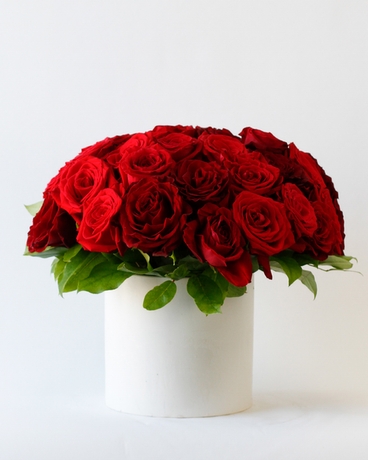 3 Dozen size, 12 inches height and 12 inches wide.