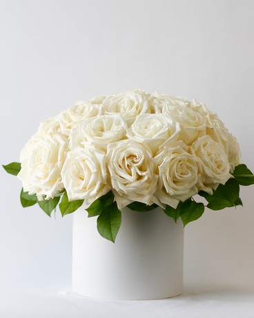 3 Dozen size, 12 inches height and 12 inches wide.