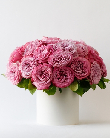 3 Dozen size, 12 inches height and 12 inches wide.